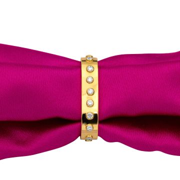 Luxuriöser Tuchhalter mit Brillanten