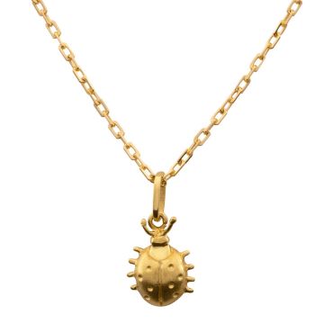 Entzückender Marienkäferanhänger mit Ankerkette