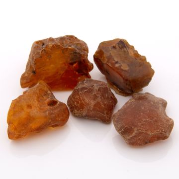 Sammlung von 5 losen großen Roh-Bernsteinen