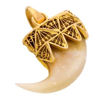 Raubtierkralle in Goldfassung