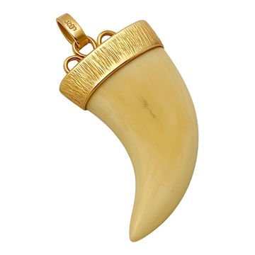 Goldgefasste Raubtierkralle